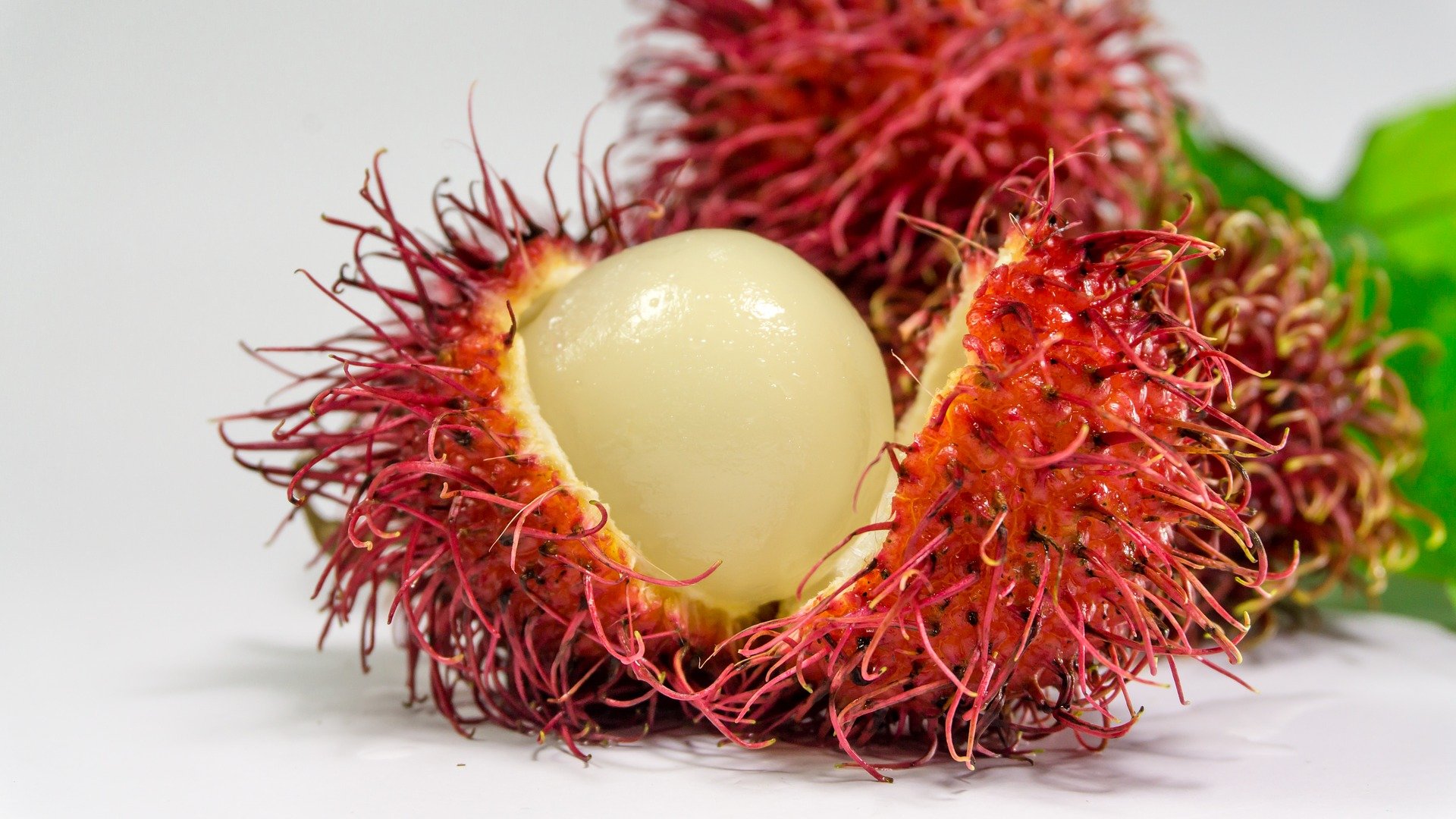 Manfaat Buah rambutan segar dengan warna merah cerah dan daging buah yang manis