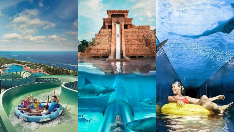 keseruan liburan di Aquaventure